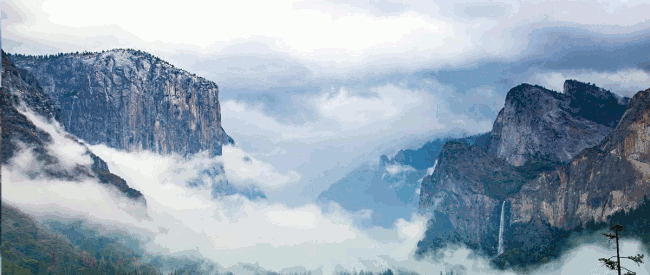 Tour Yosemite National Park