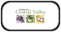 CV Logo